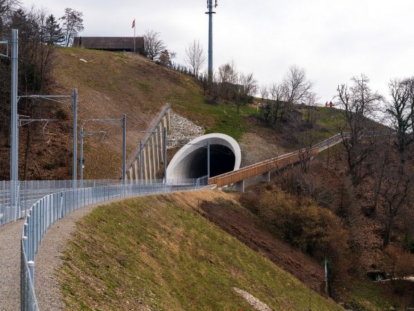 Foto Besmer Holzingenieure 